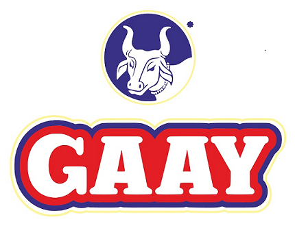 GAAY — Taste of Purity logo